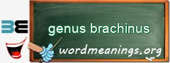 WordMeaning blackboard for genus brachinus